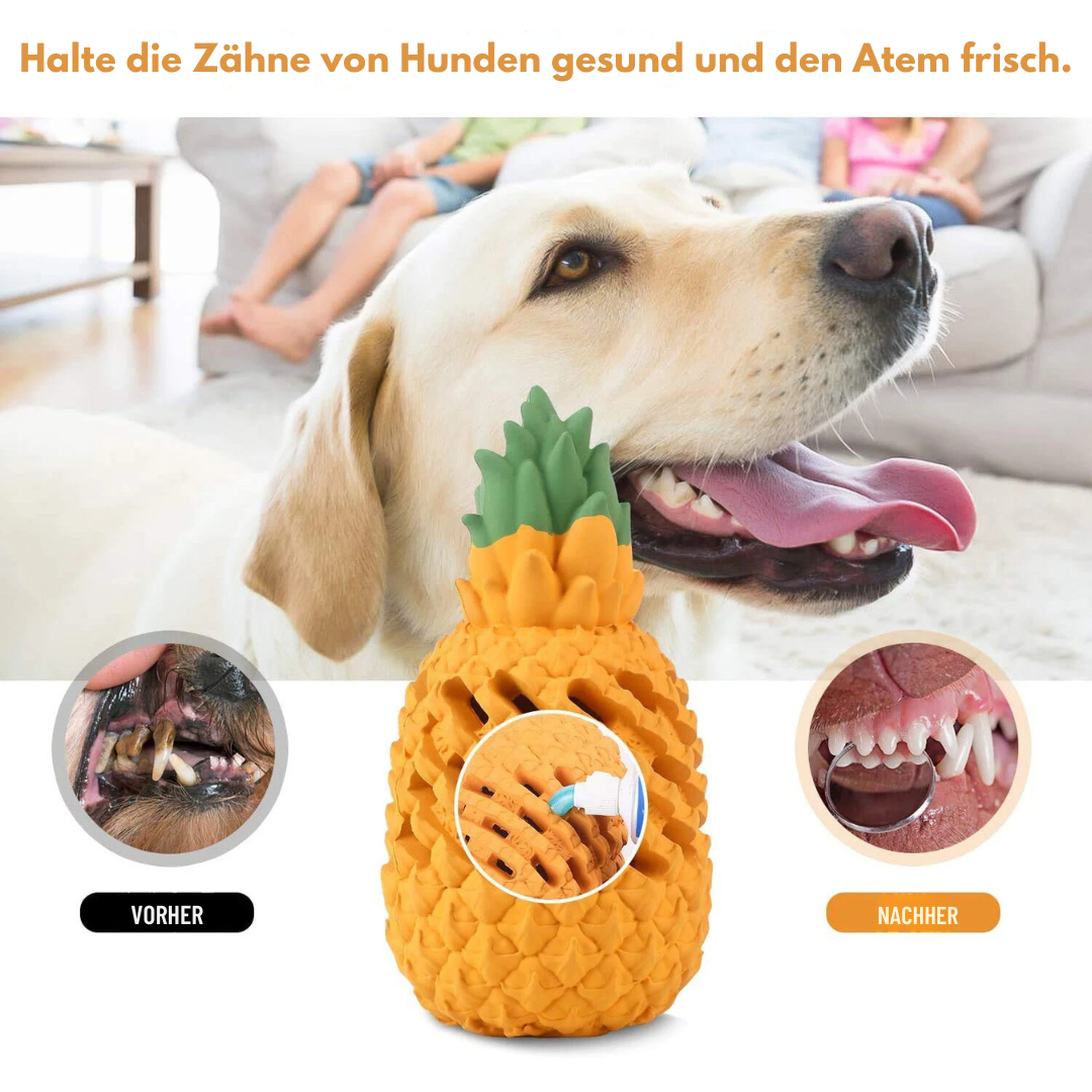 Onverwoestbaar Ananas Kauwspeeltje voor Honden