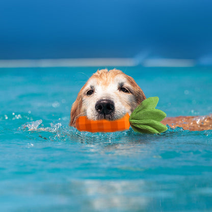 Milieu-vriendelijke Natuurlijke Rubber Wortel voor Honden