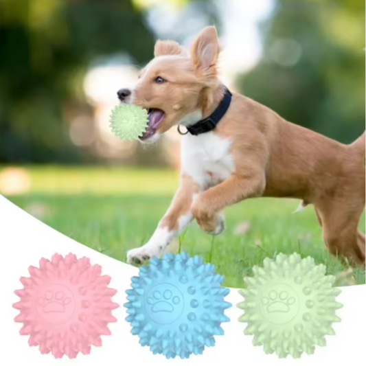 Springende Rubber Trainingsbal