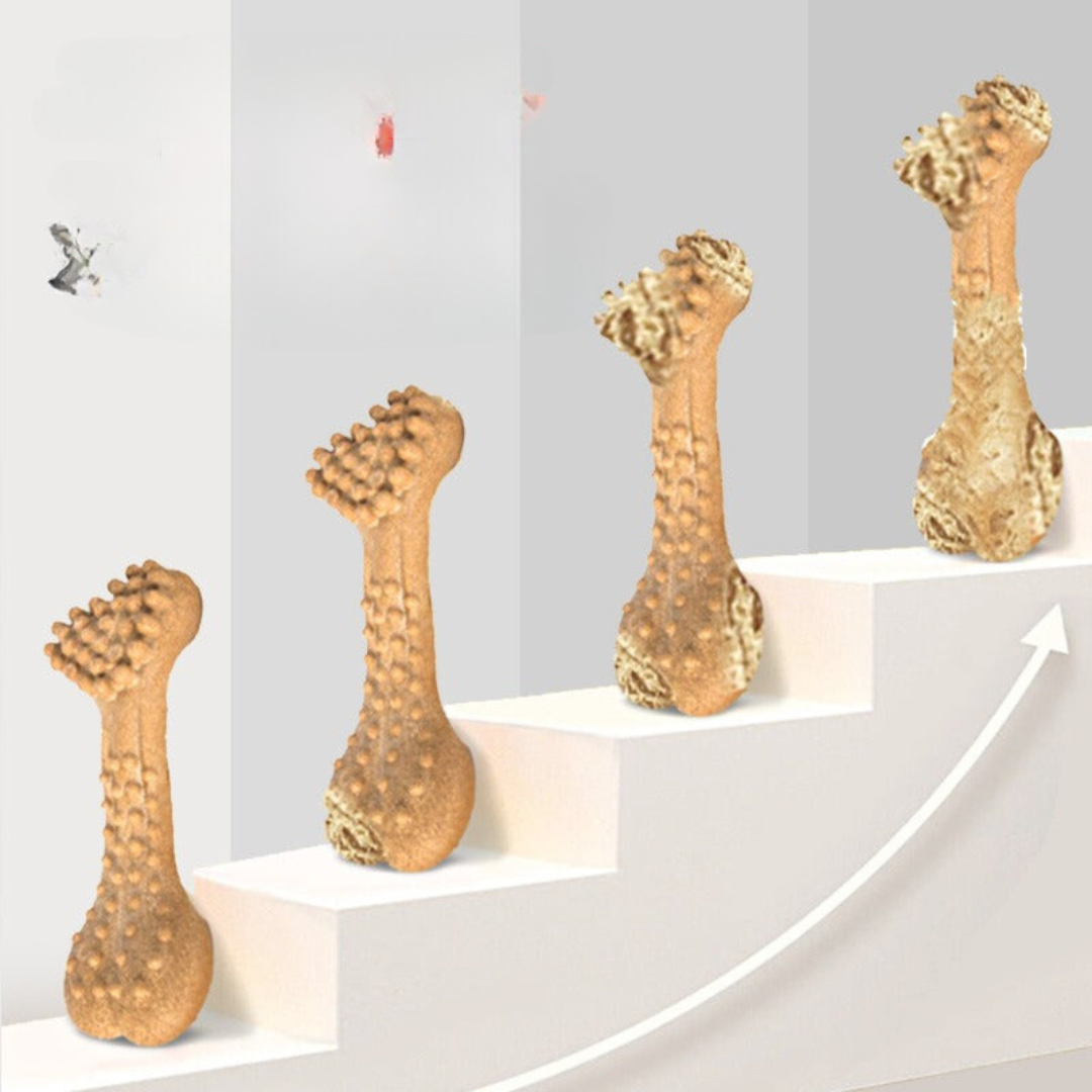 Premium Duurzaam Honden Kauspielzeug