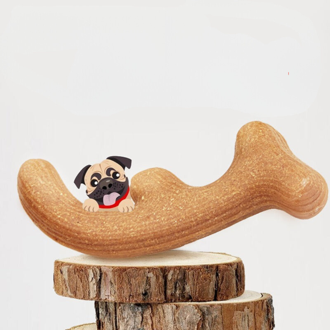 Premium Duurzaam Honden Kauspielzeug