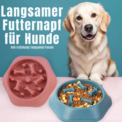 Langzaam Eten Voederstation voor Honden