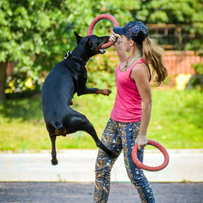 Drijvende Water-Hondenspeelgoed-Trainingsring