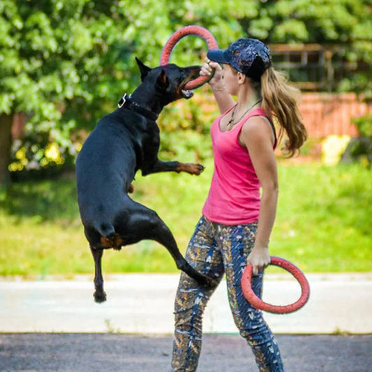 Drijvende Water-Hondenspeelgoed-Trainingsring