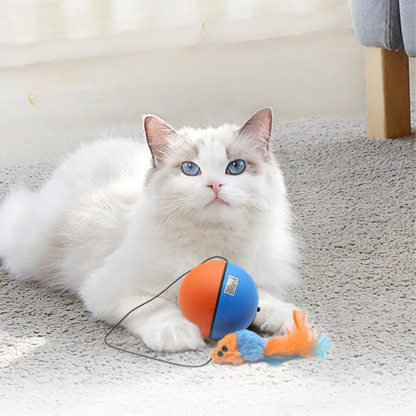 Katten Turboball met Staart Speelgoed