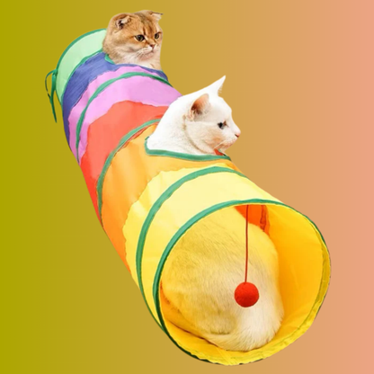 Regenboog Katten Tunnel